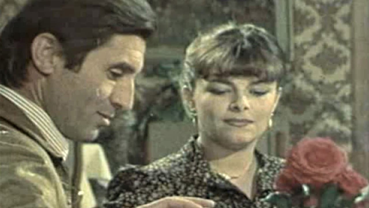 Backdrop – Avanture Borivoja Šurdilovića