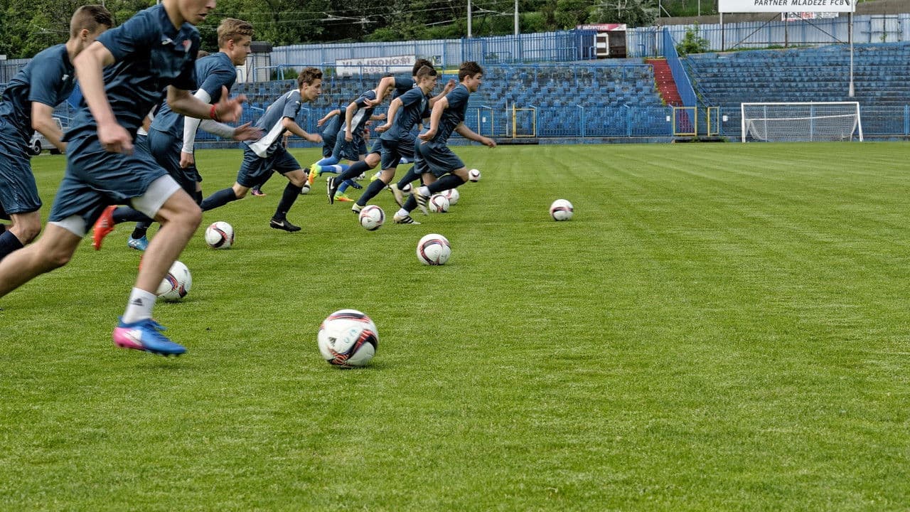 Backdrop – Banik!!!