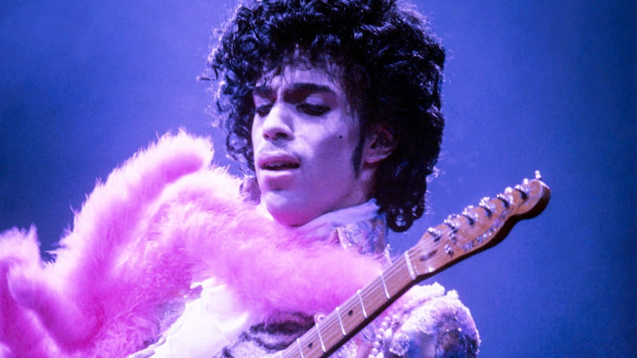 Backdrop – Prince: A Purple Reign