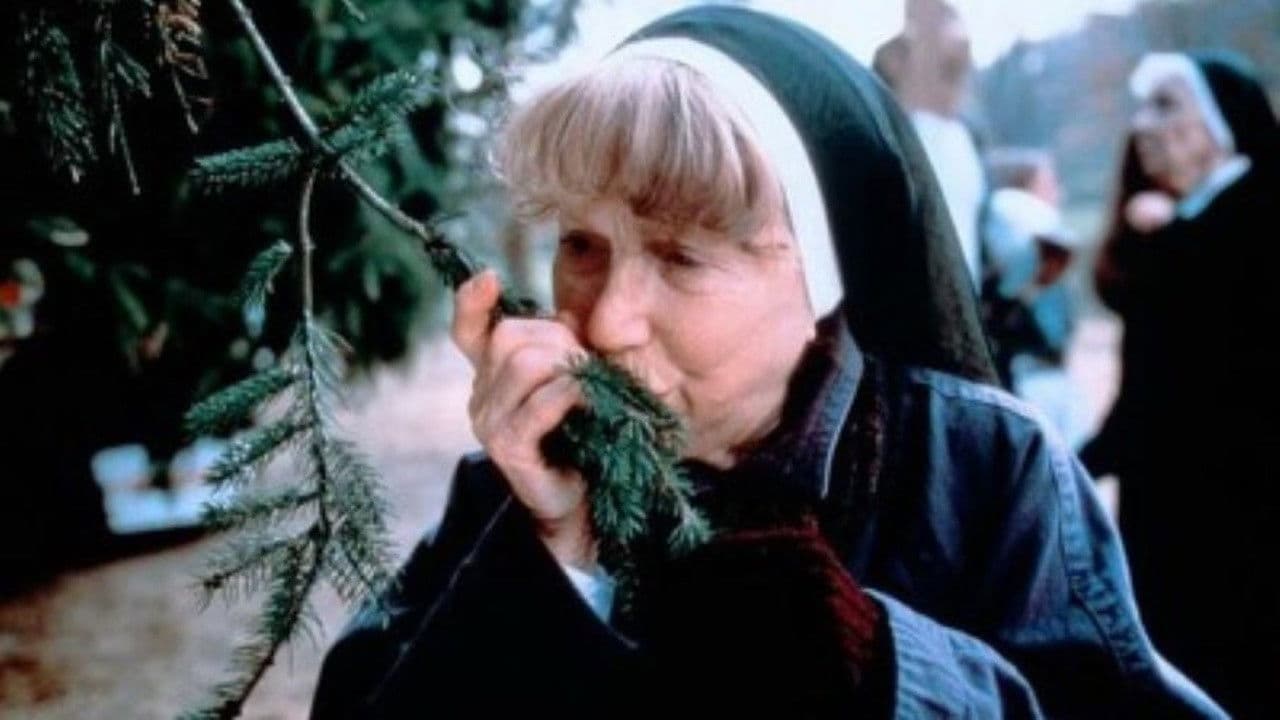 Backdrop – The Christmas Tree