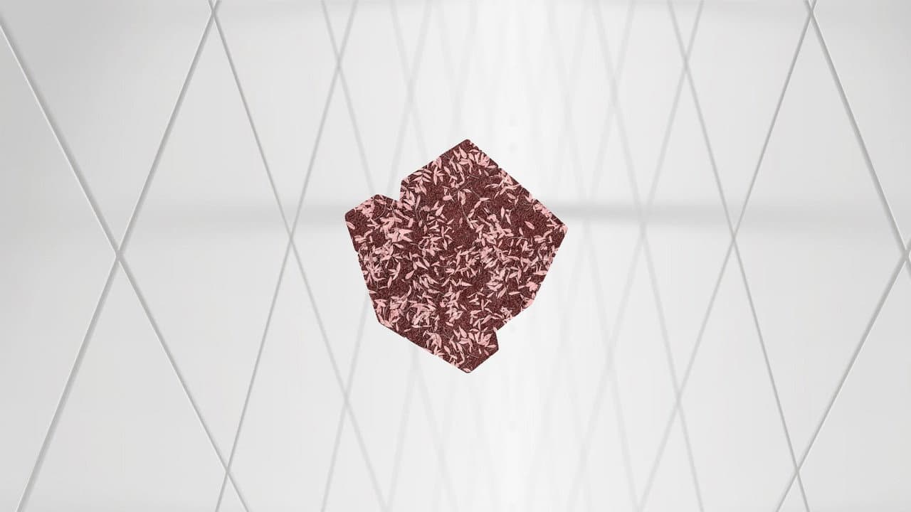 Backdrop – crhumness 3