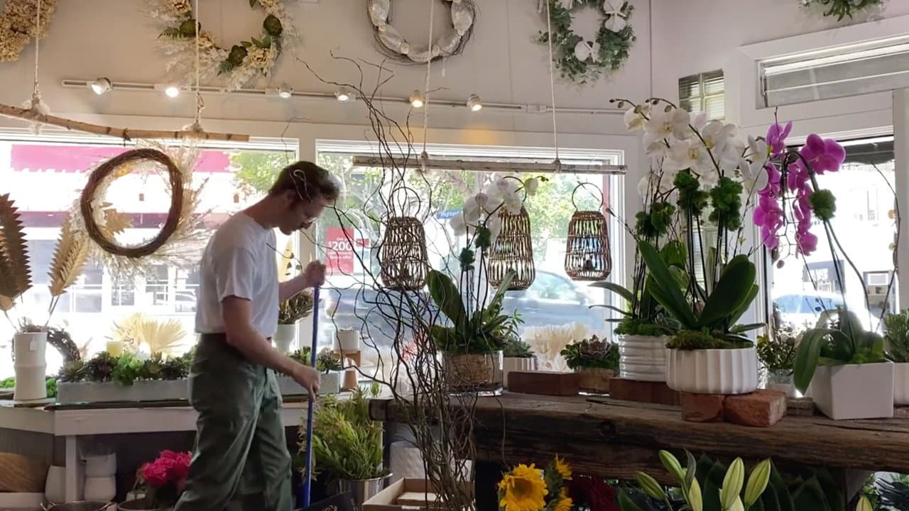 Backdrop – Not a Day Goes By