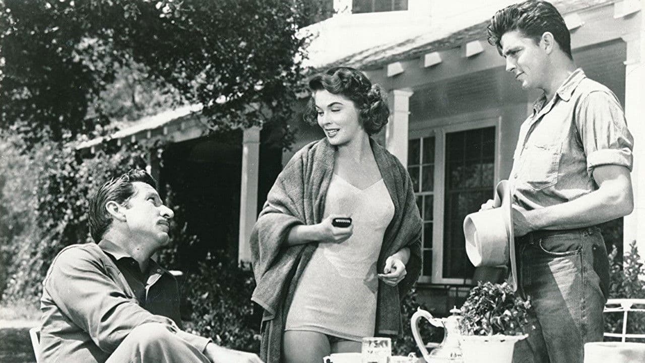 Backdrop – Return of the Texan