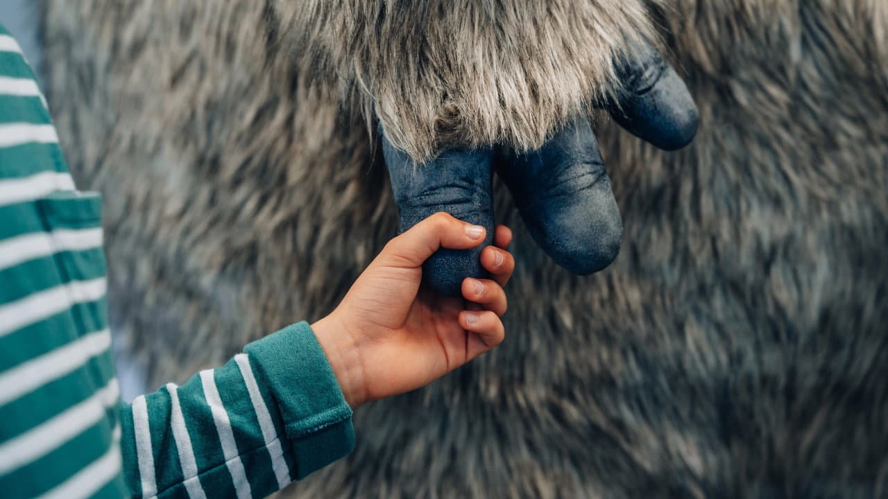 Backdrop – monster & me