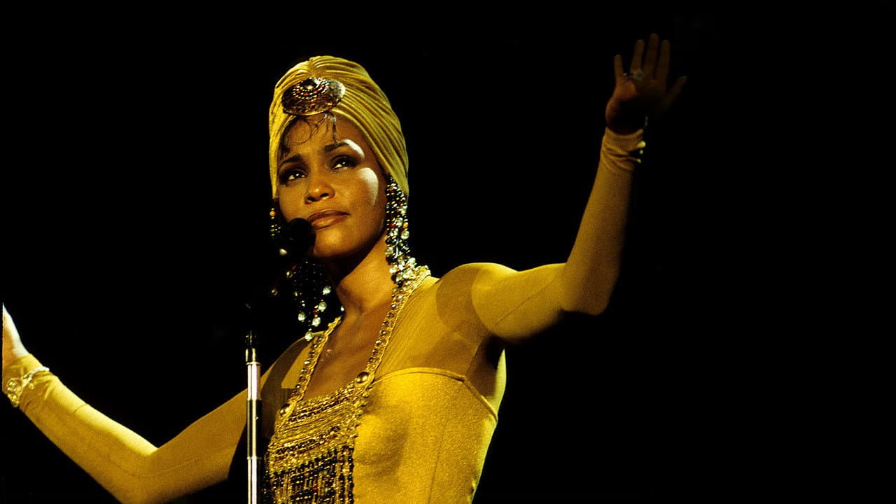 Backdrop – Whitney Houston: The Concert for a New South Africa (Durban)