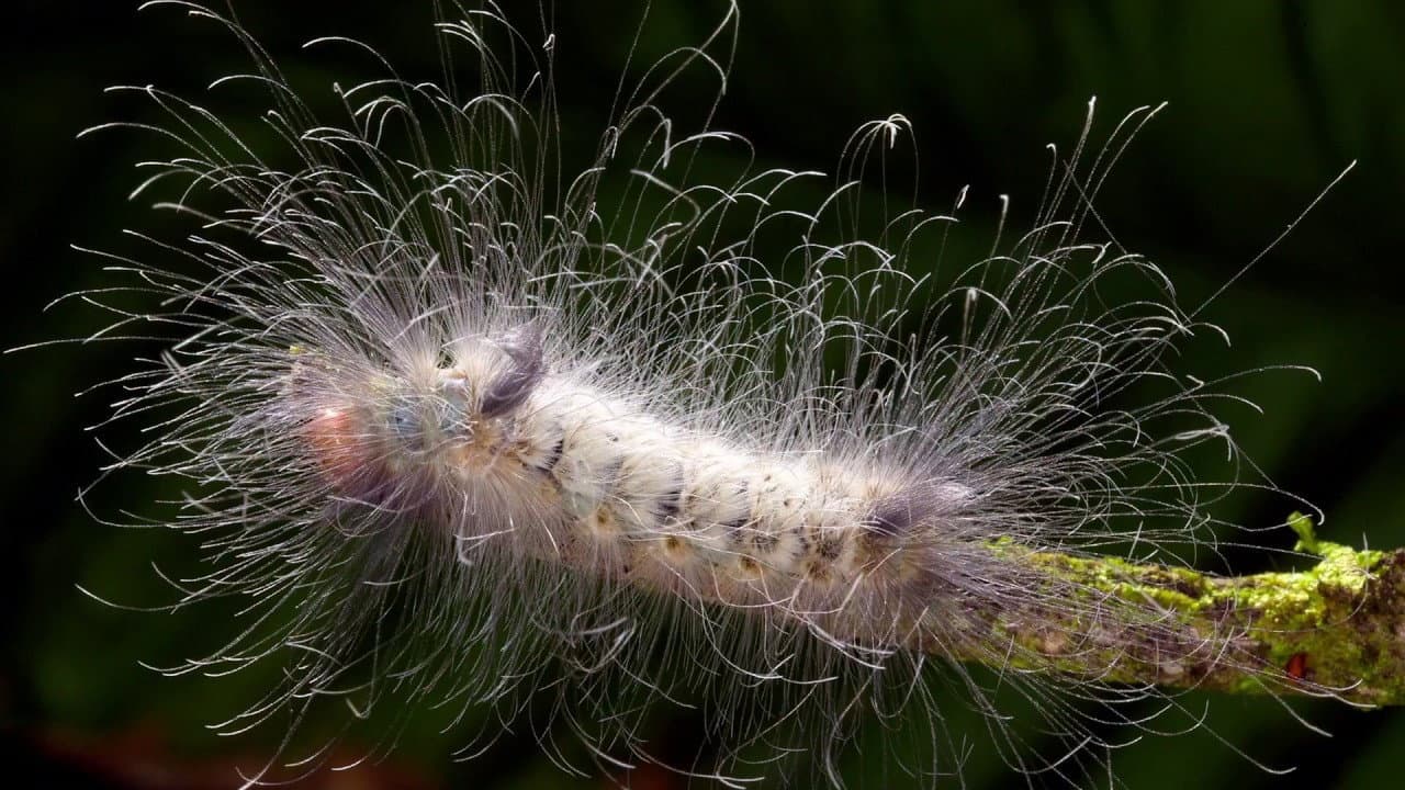 Backdrop – Learning To See