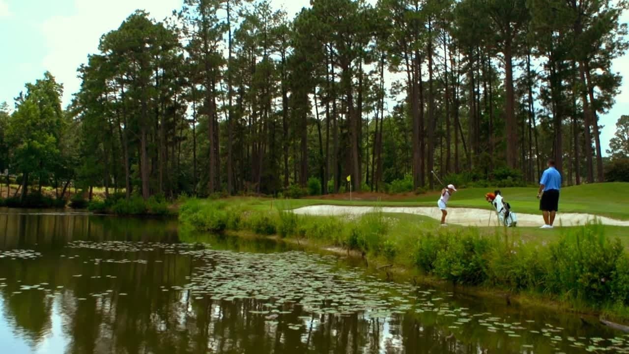 Backdrop – The Short Game