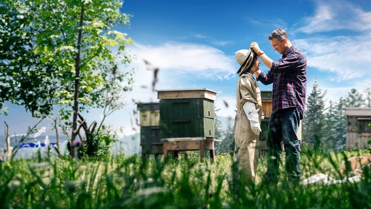 Backdrop – Miłość jak miód