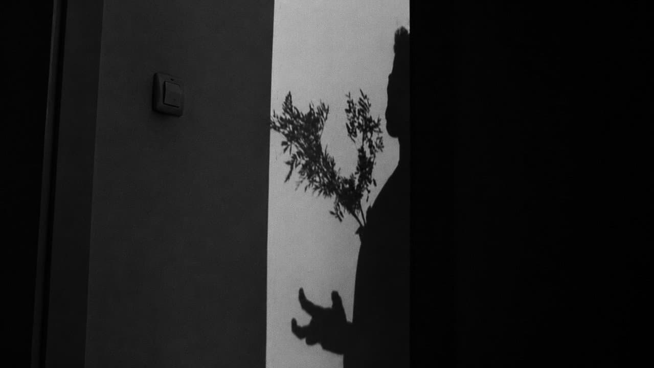 Backdrop – L'ARBRE