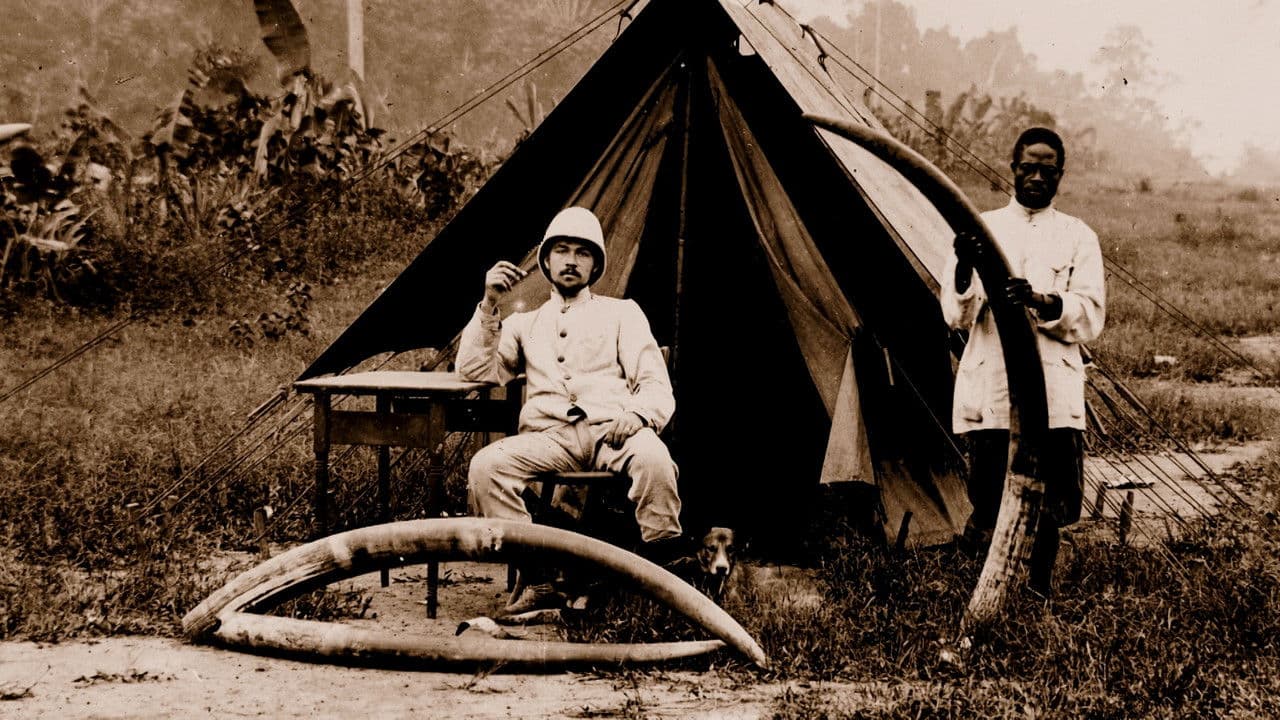 Backdrop – Totems et Tabous