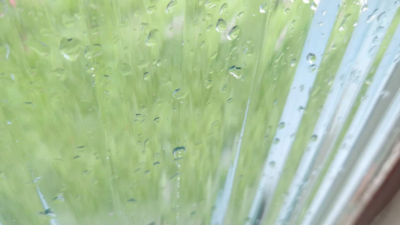 Backdrop – quando chove em um sábado