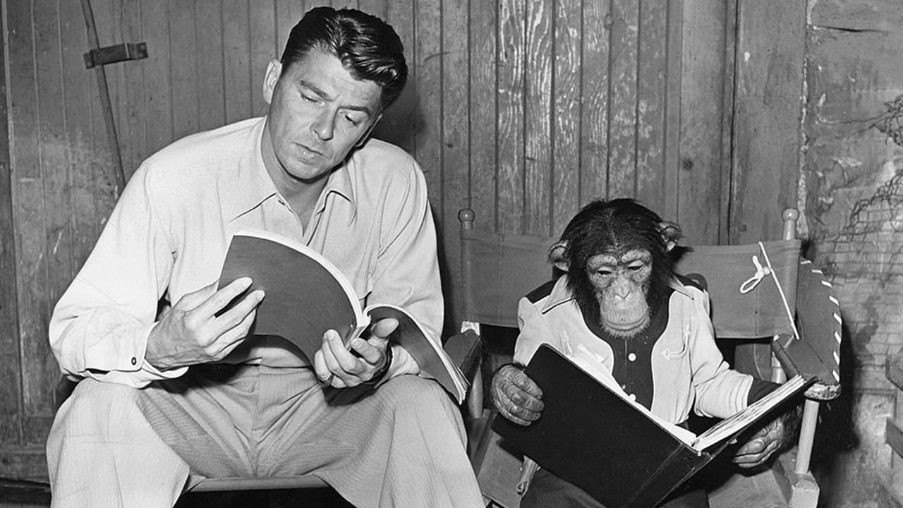 Backdrop – Bedtime for Bonzo