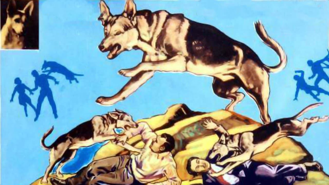 Backdrop – Inside Information