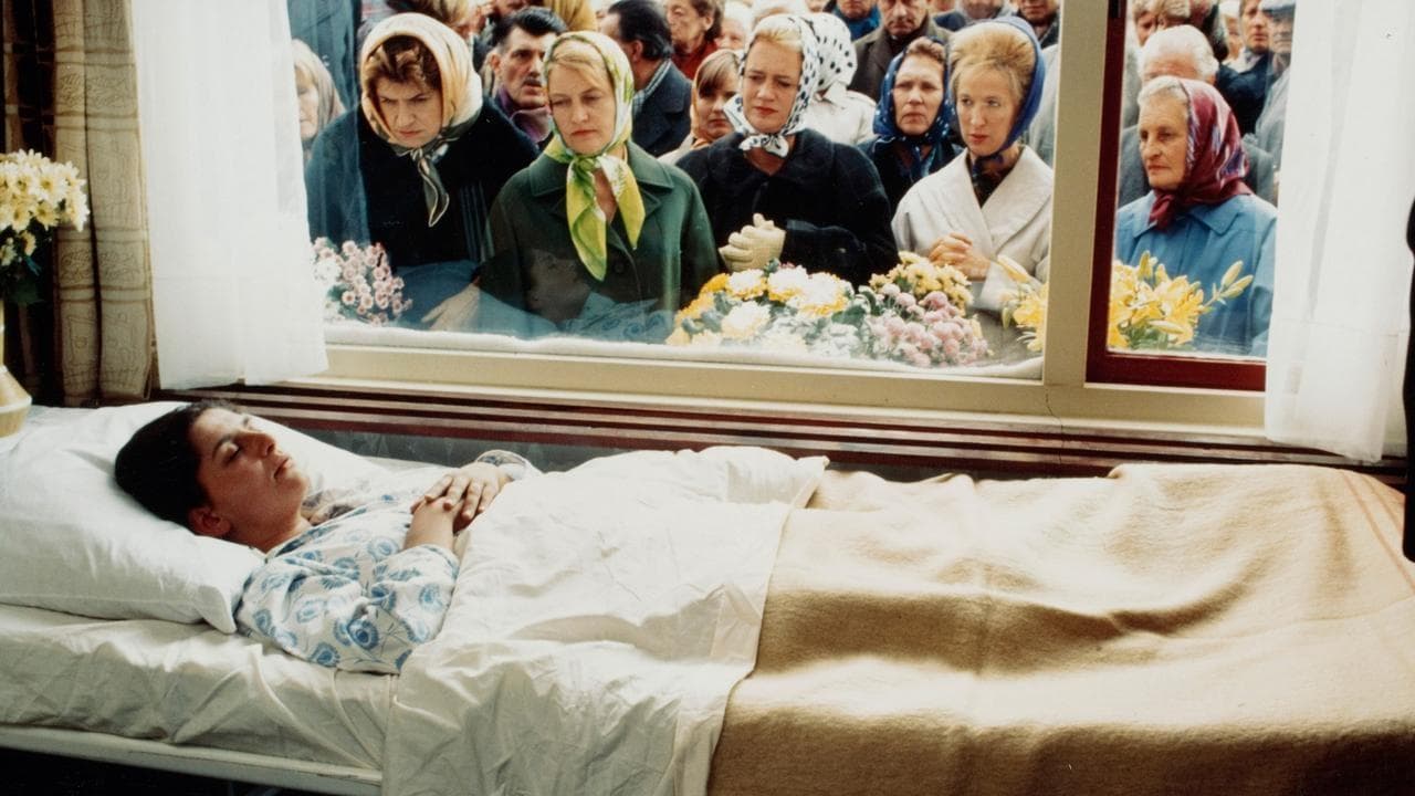 Backdrop – Die Noorderlinger