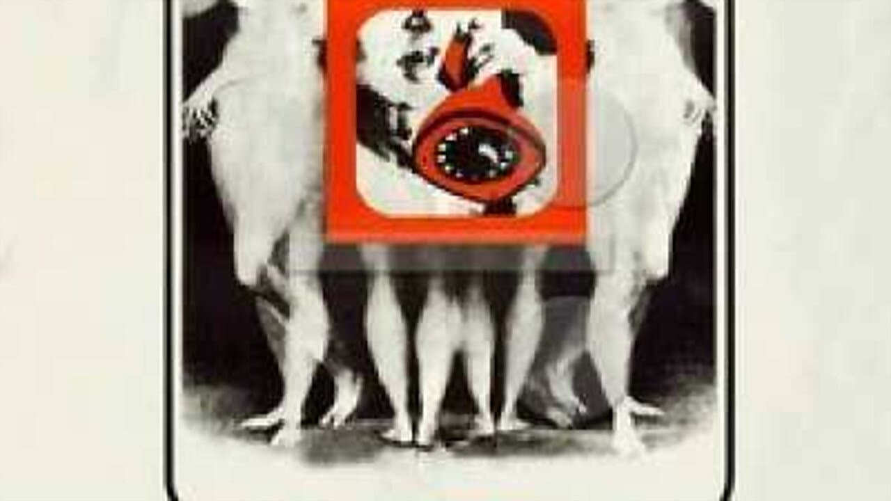 Backdrop – As Cariocas