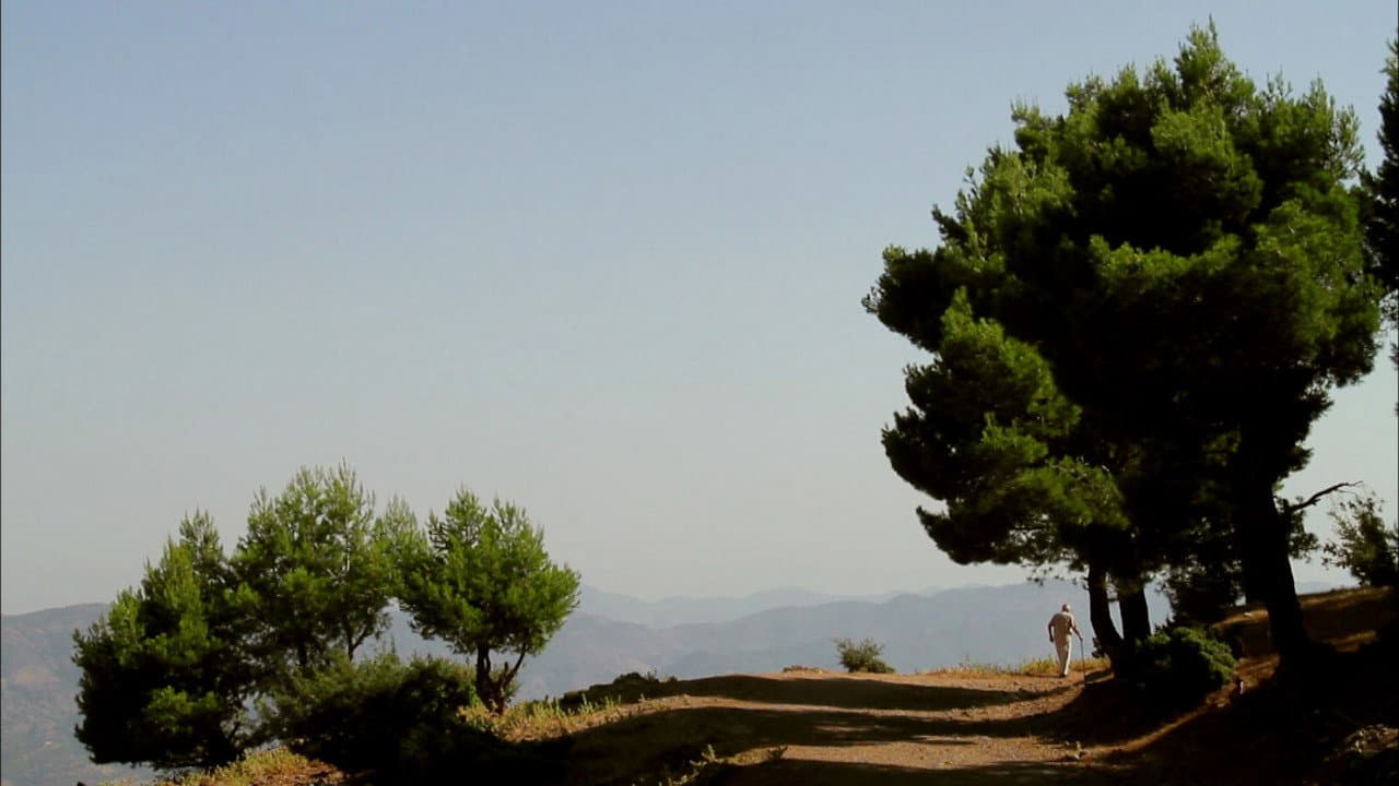 Backdrop – Daniel Ali, instituteur révolté dans l'Algérie coloniale
