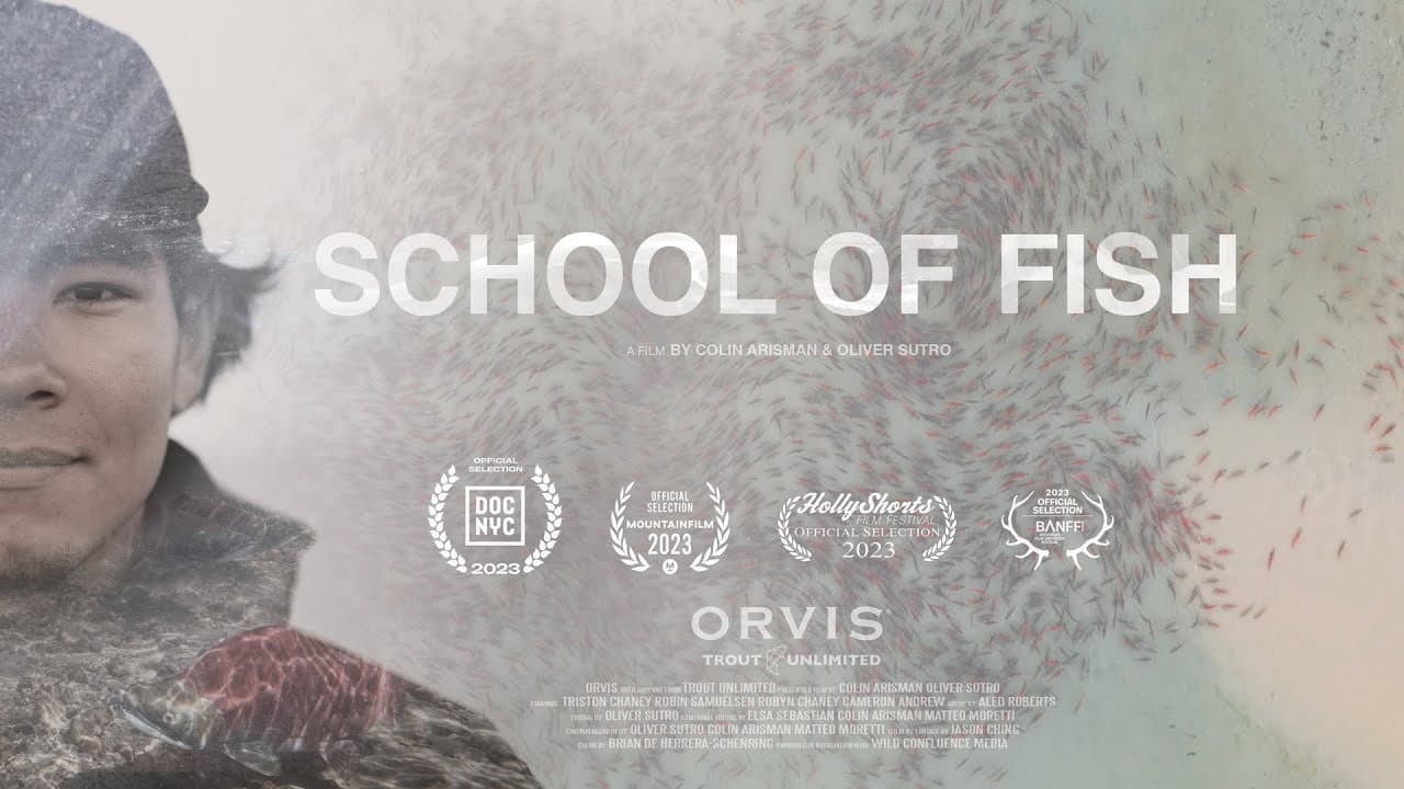 Backdrop – School of Fish
