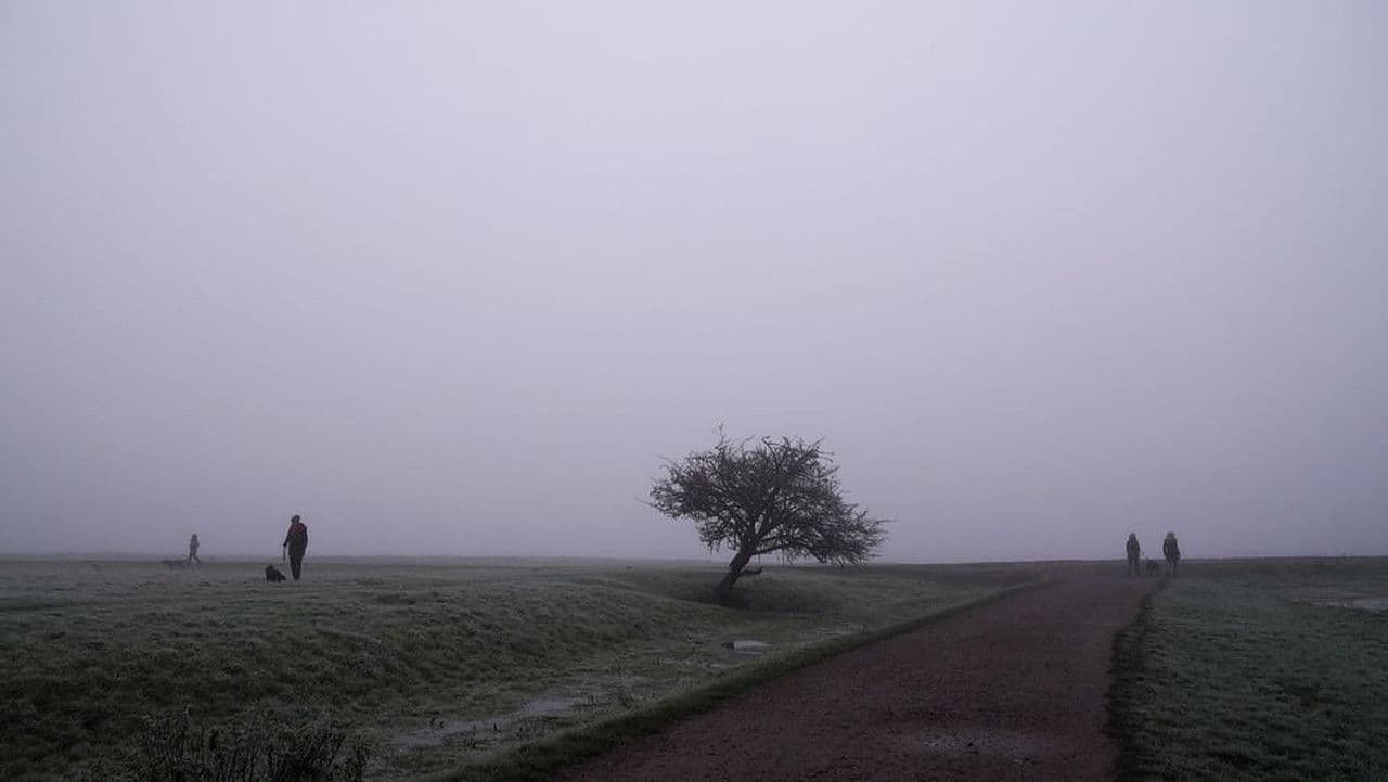 Backdrop – Port Meadow