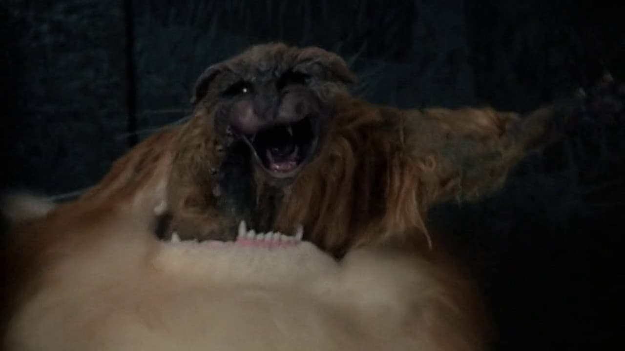 Backdrop – Uninvited