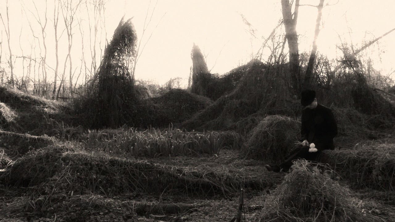 Backdrop – Quiéreme Mucho