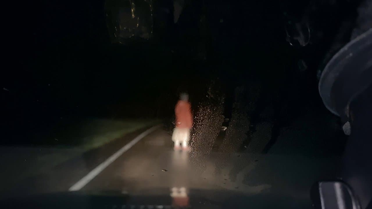 Backdrop – Dashcam