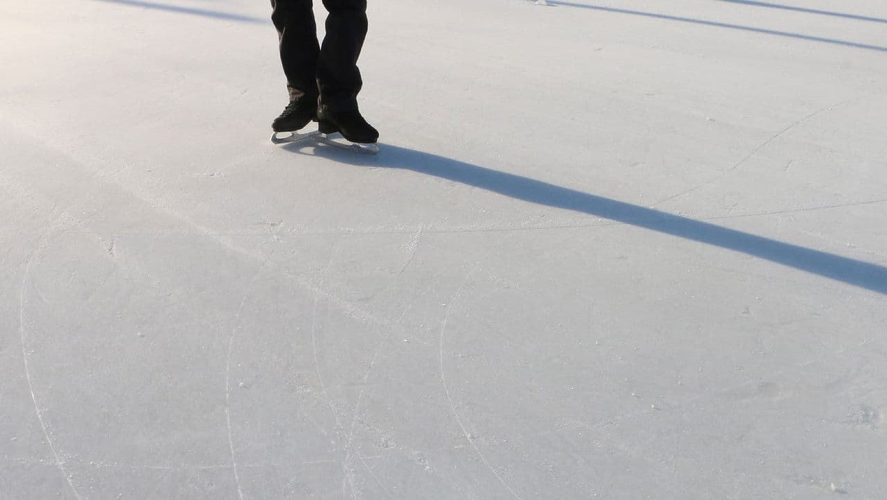 Backdrop – Go Figure