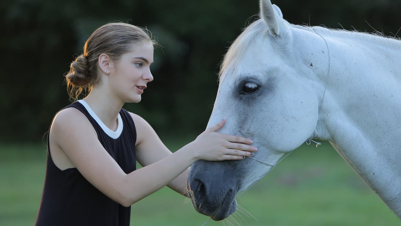 Backdrop – Fest im Sattel