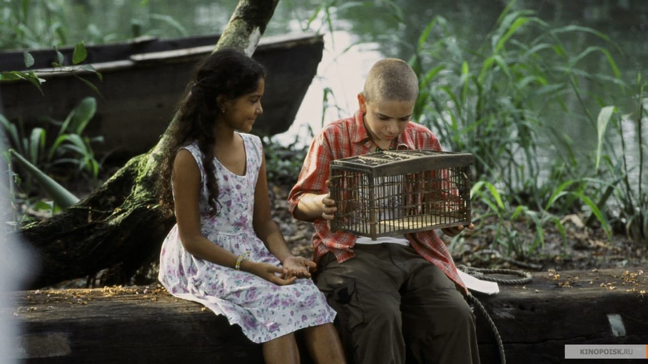 Backdrop – Das Geheimnis des blauen Schmetterlings