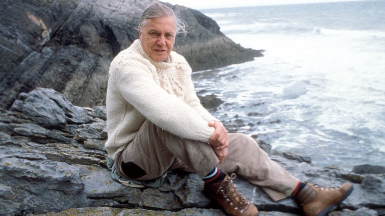 Backdrop – The Trials of Life