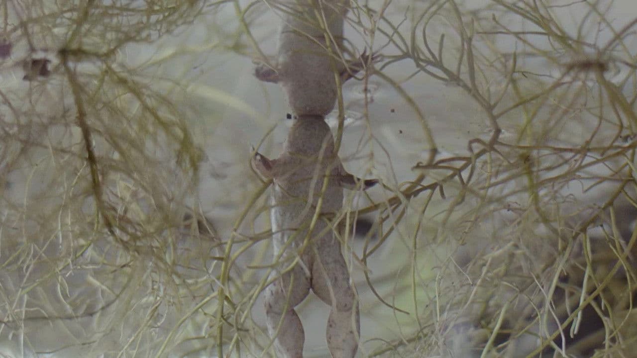 Backdrop – Sliktie dzīvnieki