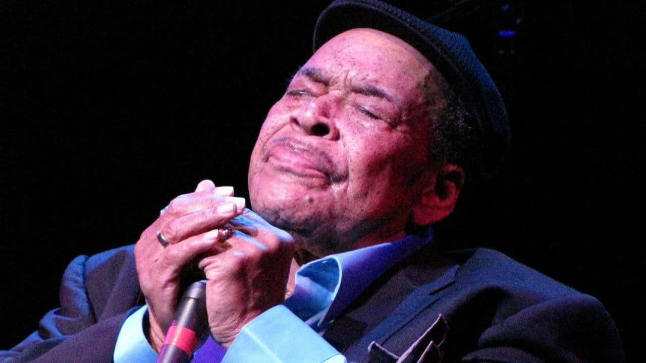 Backdrop – Bonnie Blue: James Cotton's Life in the Blues