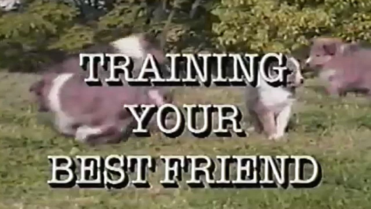 Backdrop – Training Your Best Friend