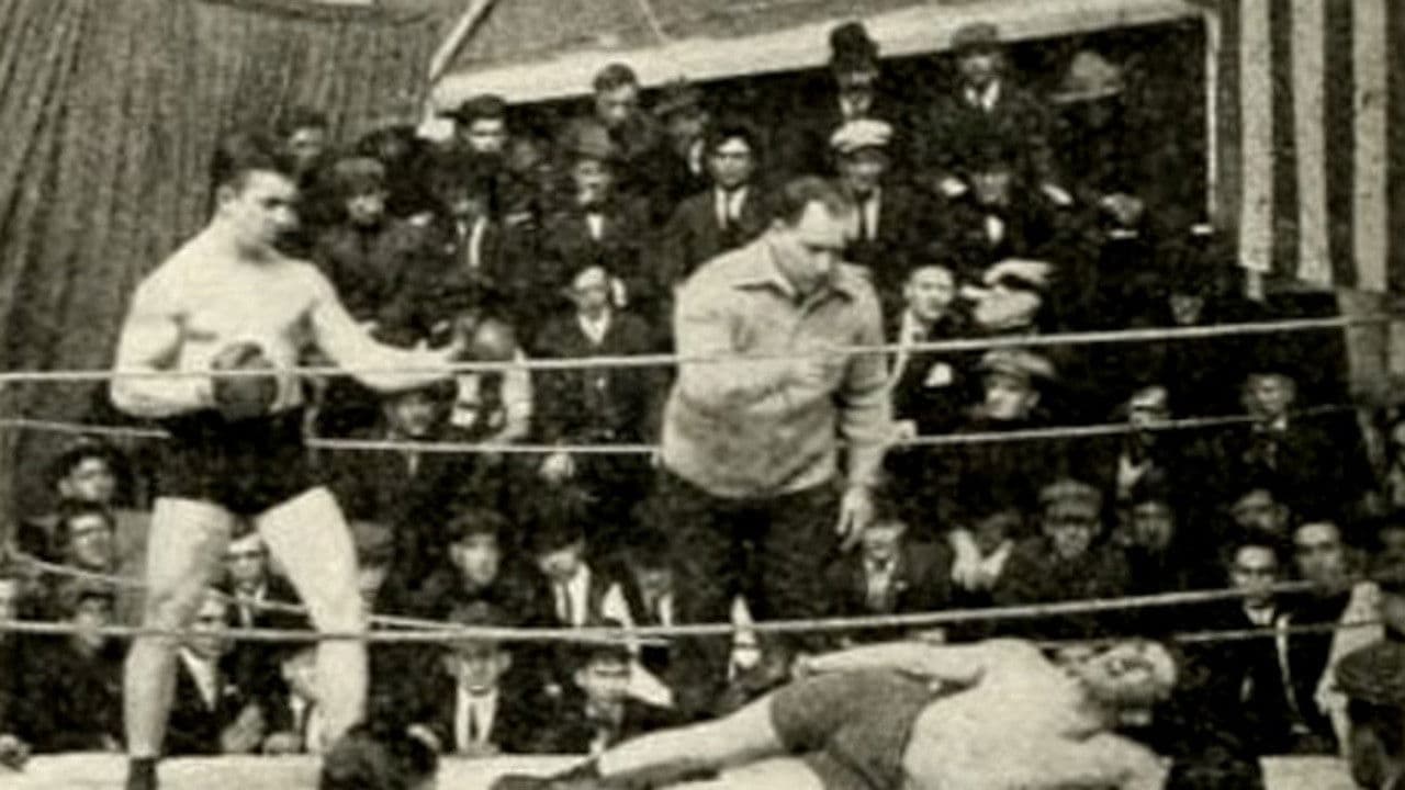 Backdrop – The Grey Vulture