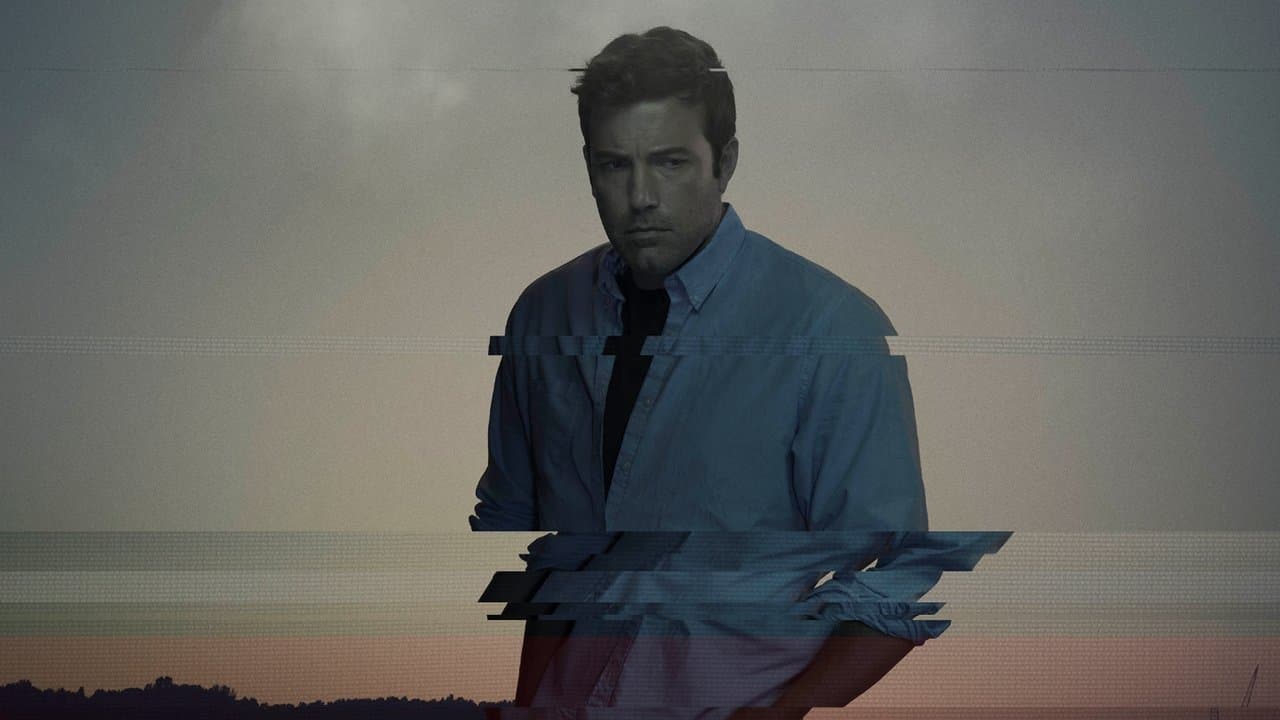 Backdrop – Gone Girl - Das perfekte Opfer