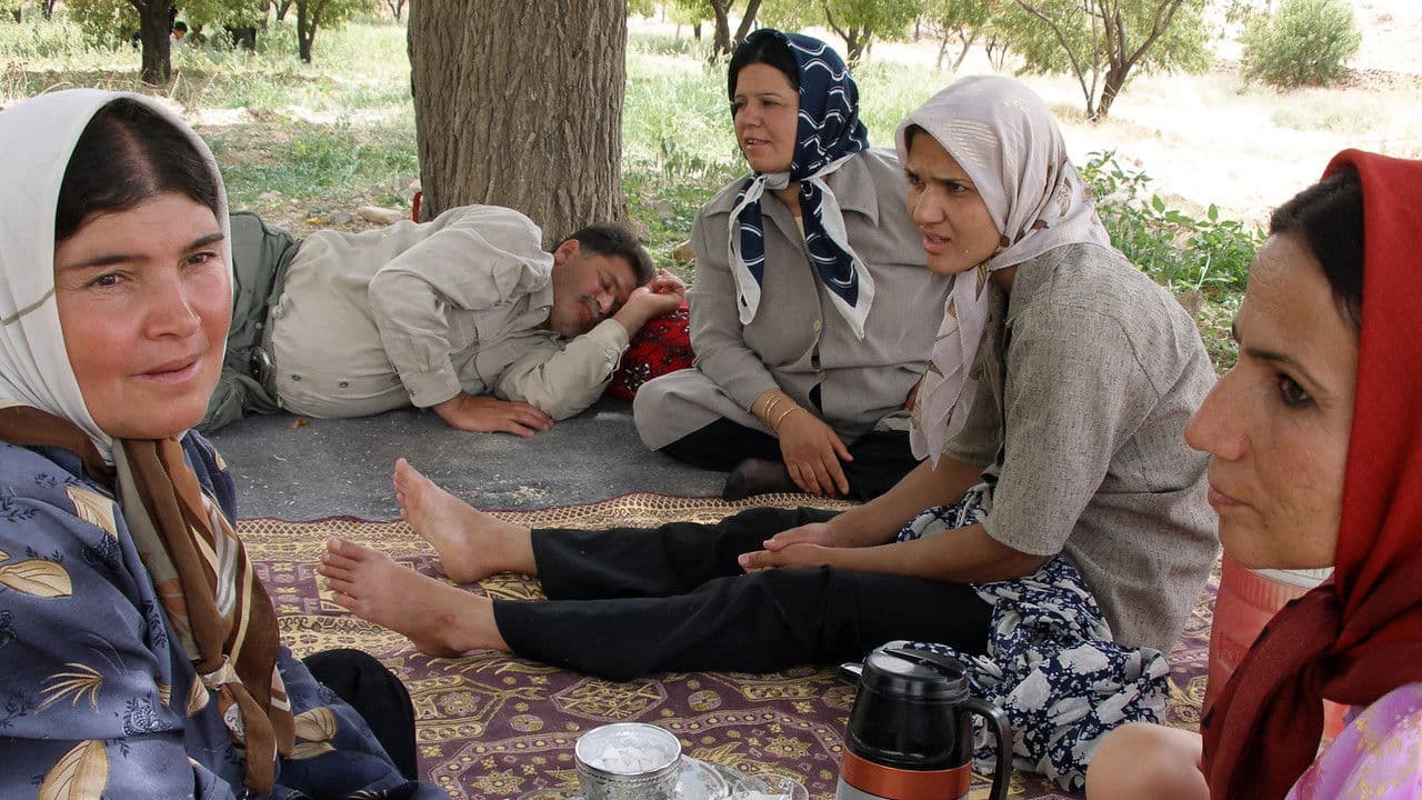 Backdrop – Fyra fruar och en man