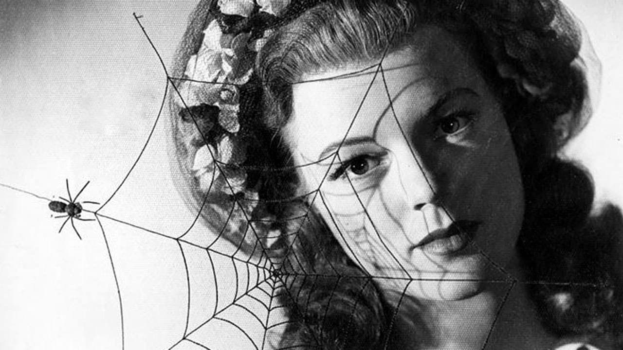 Backdrop – The Spider