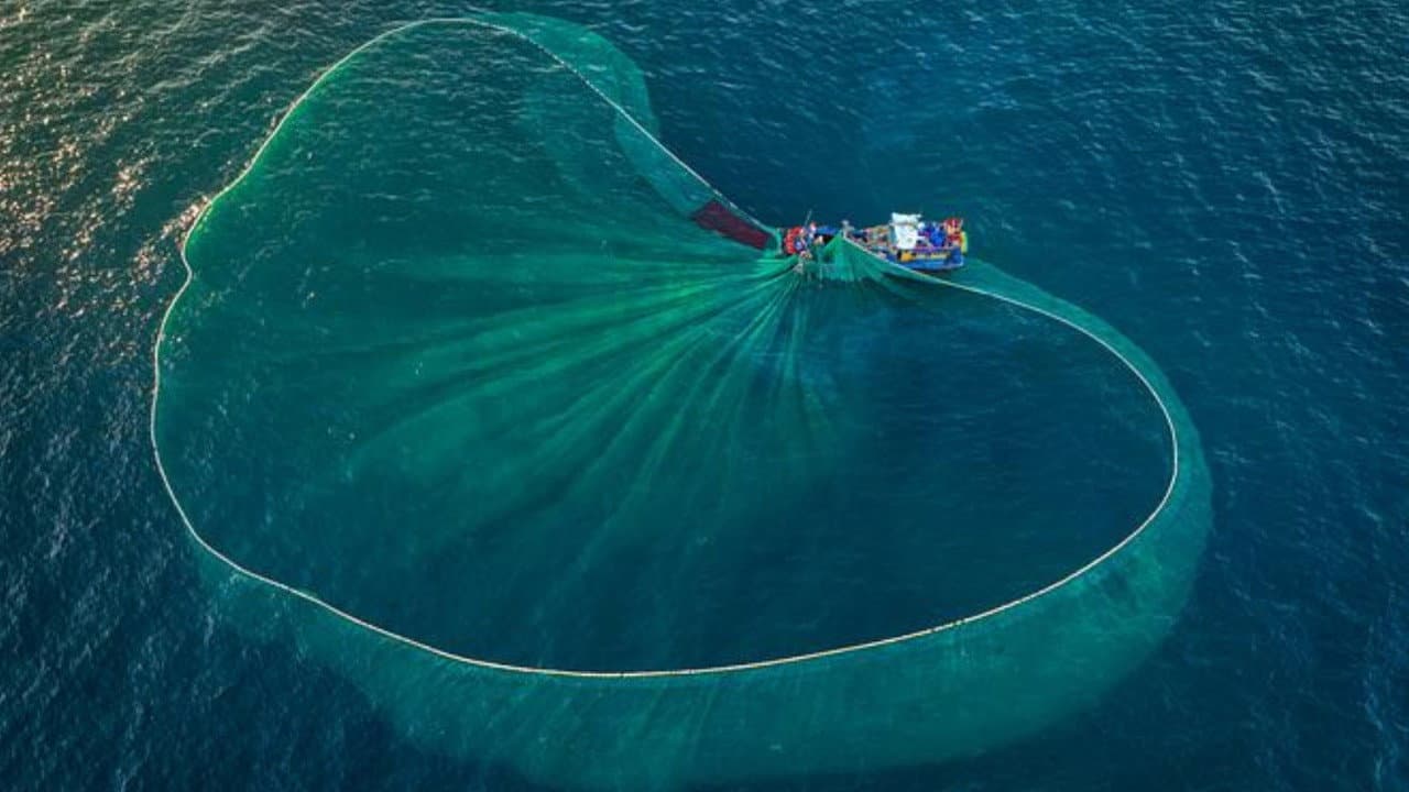 Backdrop – Au nom de la mer : vers une pêche durable ?