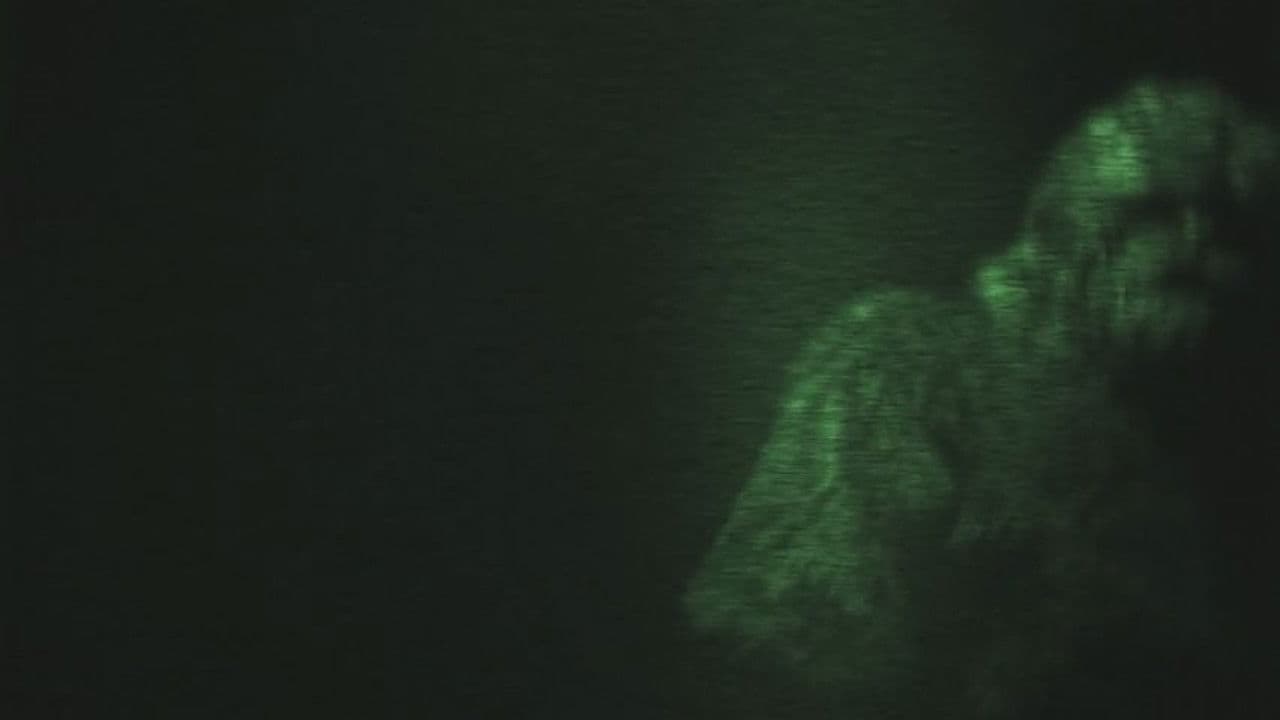 Backdrop – On the Trail of Bigfoot: The Journey