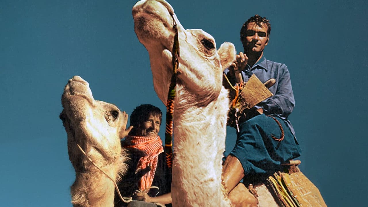 Backdrop – Rendez-Vous Nomade, Le Chemin d'Odette Et Jean-Louis Bernezat