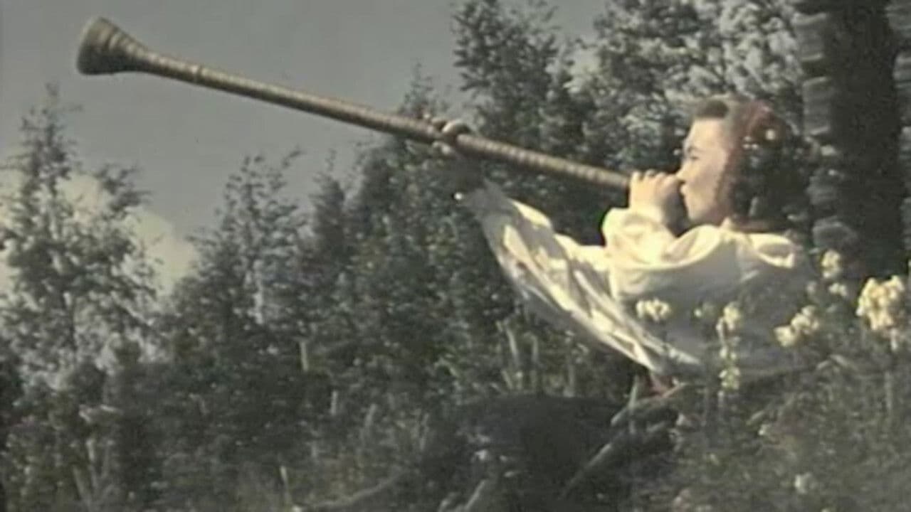 Backdrop – On the track to the midnight sun