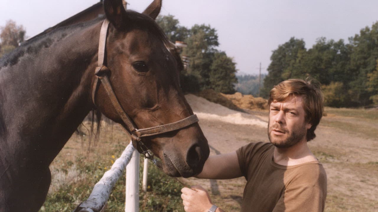 Backdrop – Přijeď si pro mě, tady straší