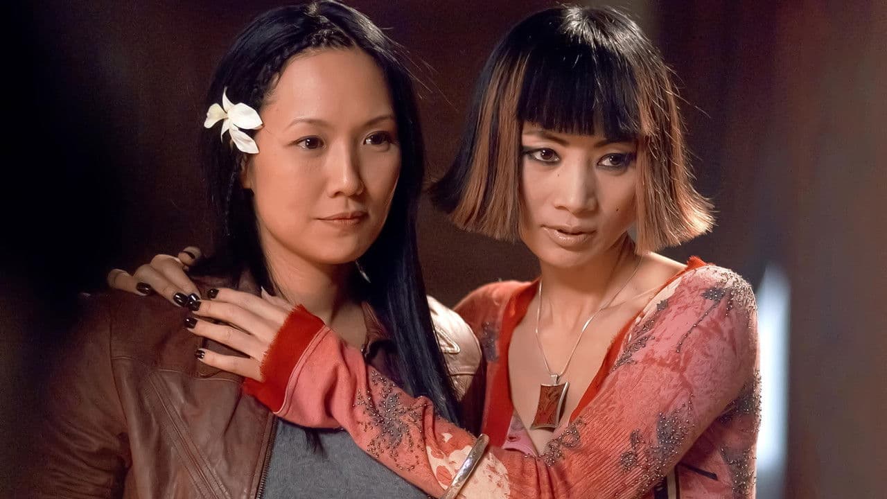 Backdrop – Dim Sum Funeral