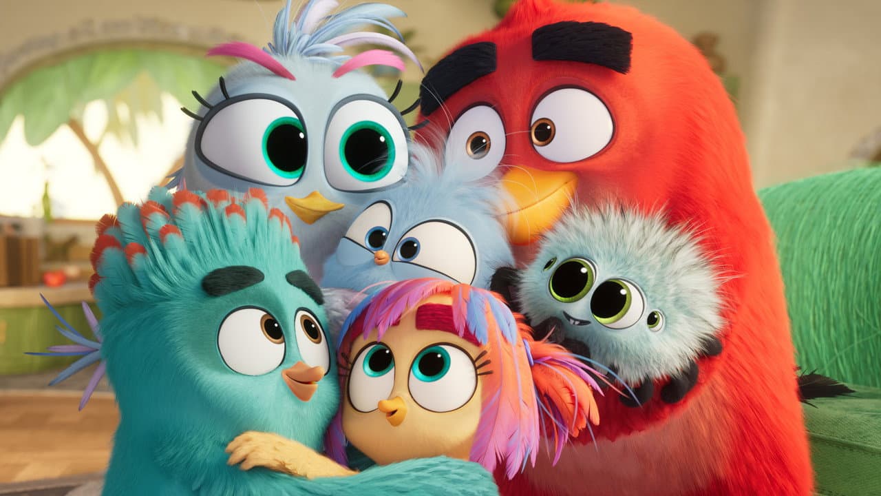 Backdrop – Angry Birds 3 - Der Film