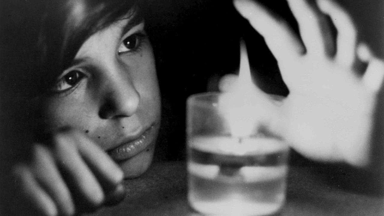 Backdrop – Der Wolfsjunge