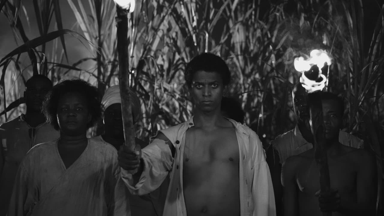 Backdrop – Black Zombie