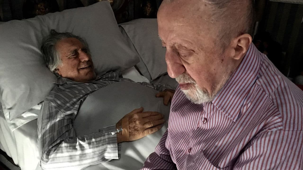 Backdrop – Für dich soll's ewig Rosen geben