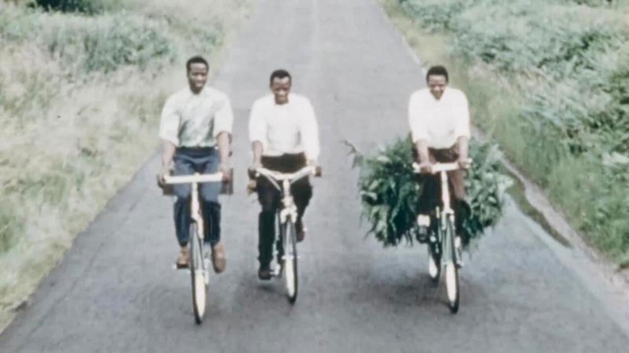 Backdrop – Phillips Bicycles - Publicity Films for West Africa