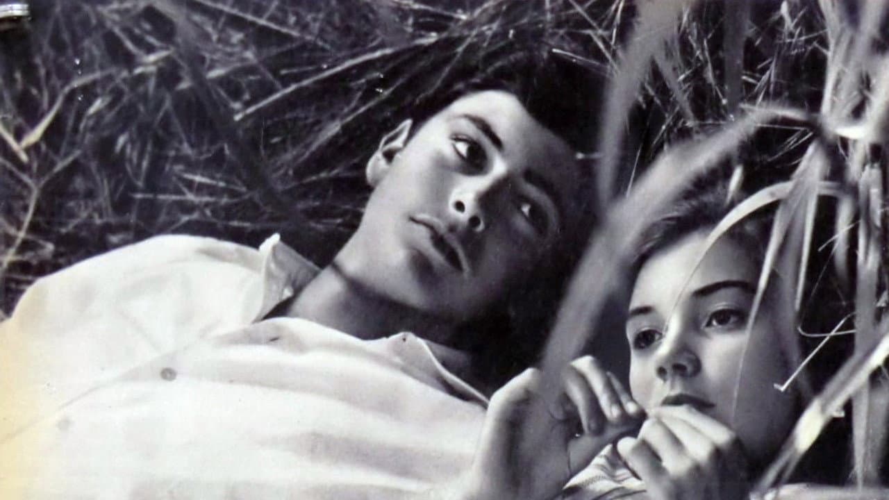 Backdrop – Le italiane e l'amore