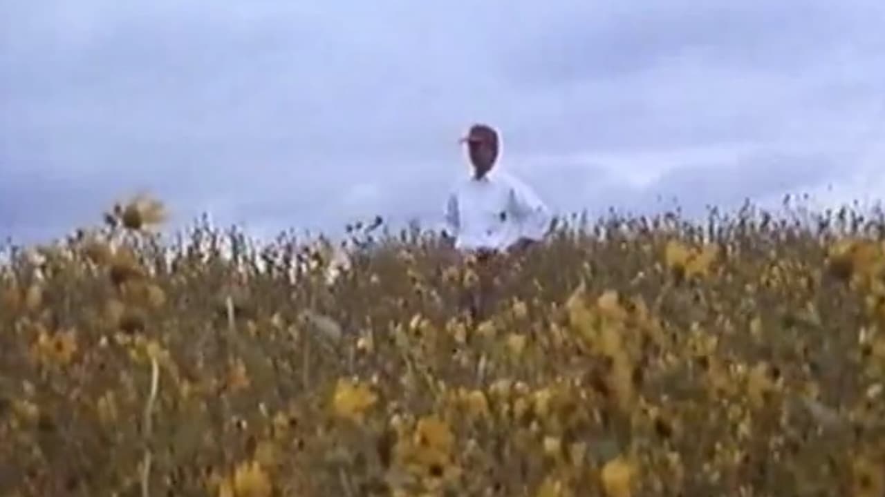 Backdrop – In Search of Oz