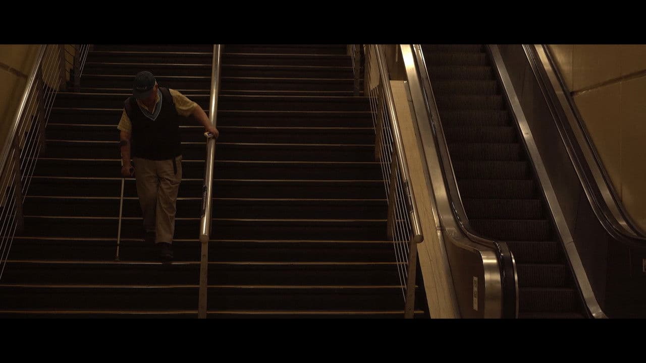 Backdrop – Código Sigma